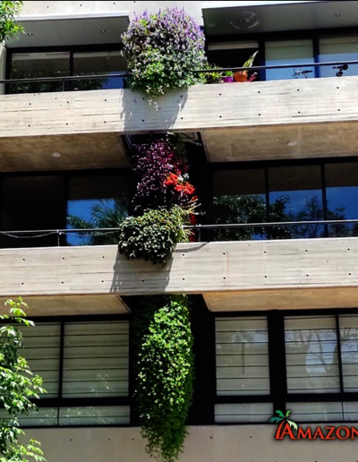 jardines verticales para tu edificio