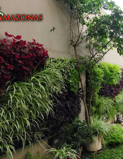 mejora tus espacios con jardines verticales