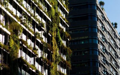 Edificios verdes: ¿Qué son y cuáles son las construcciones más importantes en el mundo?