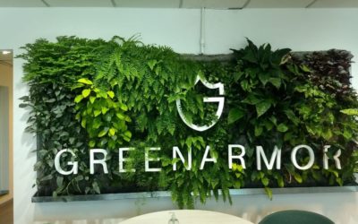 Jardines verticales para oficinas: Llevá la naturaleza a tu ambiente laboral