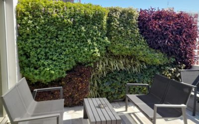 Jardines verticales para balcón: Un oasis verde en tu departamento