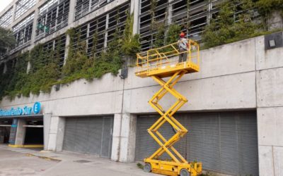 Restauración de Jardines Verticales Naturales